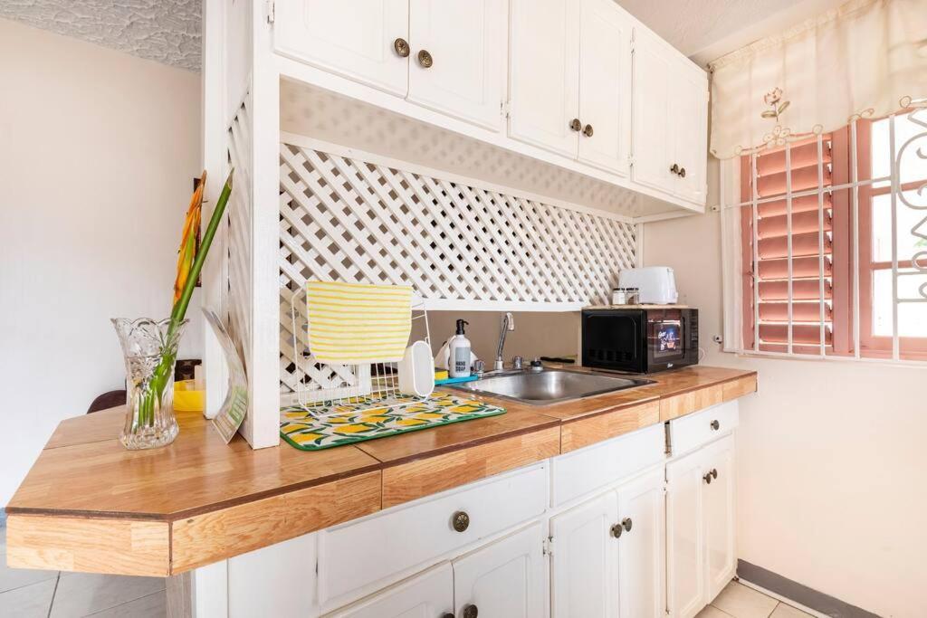 Shaw Park Gem Apt 12A Ocho Rios Kültér fotó