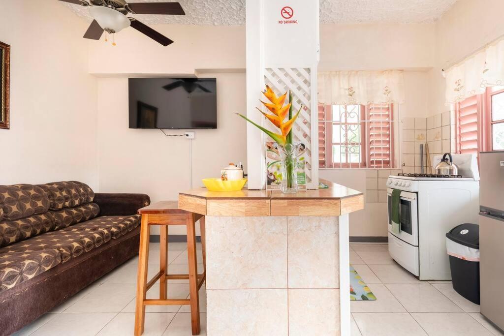 Shaw Park Gem Apt 12A Ocho Rios Kültér fotó